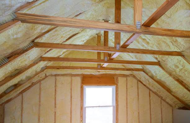 Best Cellulose Insulation in Berkshire Lakes, FL