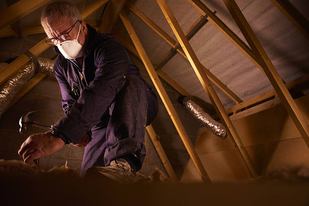 Best Spray Foam Insulation in Berkshire Lakes, FL